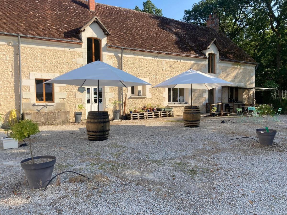 Les Pierres D'Aurele Chambres D'Hotes Saint-Georges-sur-Cher Eksteriør billede